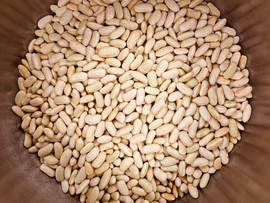 Aldrin - Greta's Family Gardens