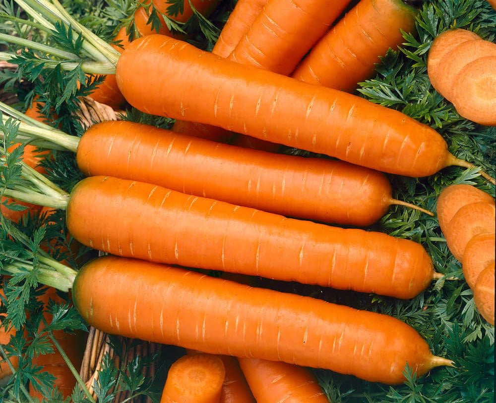 Baby Finger Carrot Seeds - Greta's Family Gardens