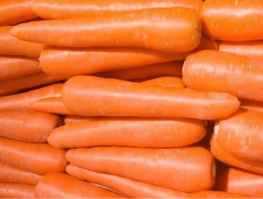 Brilliance Carrot - Greta's Family Gardens
