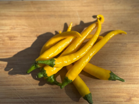 Golden Cayenne Hot Pepper - Organic - Greta's Family Gardens
