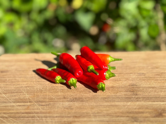 Matchbox Hot Pepper - Organic - Greta's Family Gardens