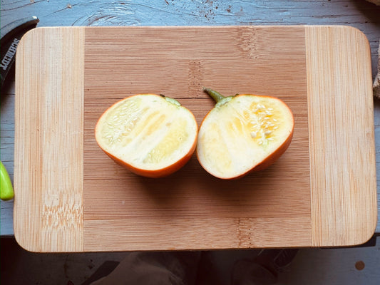 Melanzana Rossa di Rotonda eggplant - Greta's Family Gardens