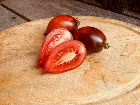 Midnight Roma - Greta's Family Gardens