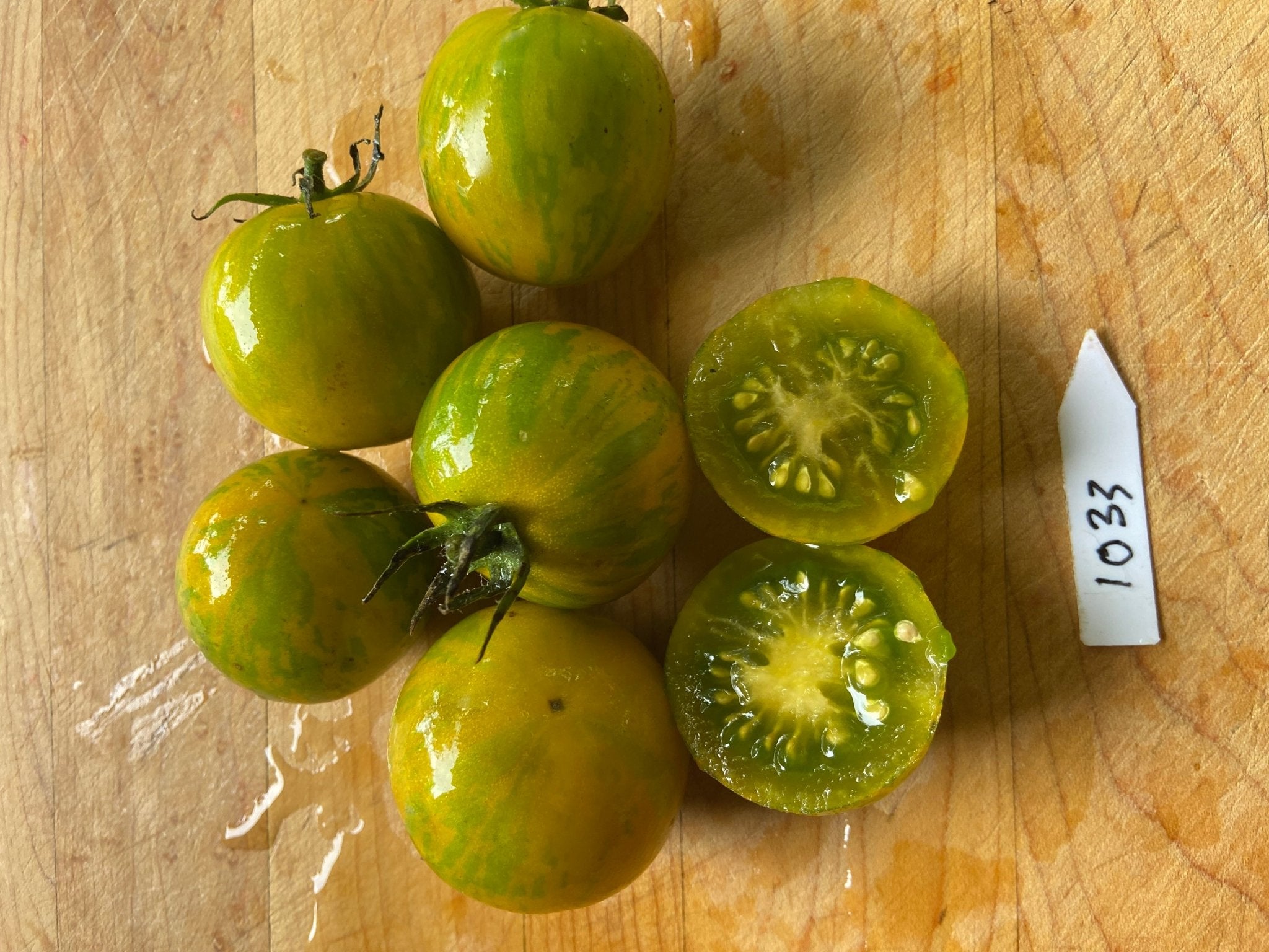Orange-Green Zebra Tomato - Organic - Greta's Family Gardens