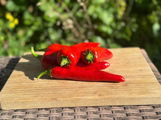 Pepper Anaheim - Organic - Greta's Family Gardens