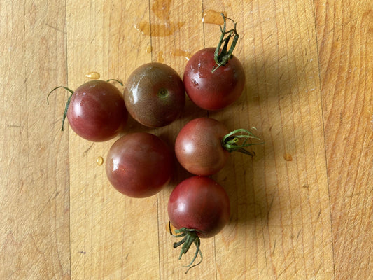 Reinhard Krafts Purple Sugar - Greta's Family Gardens