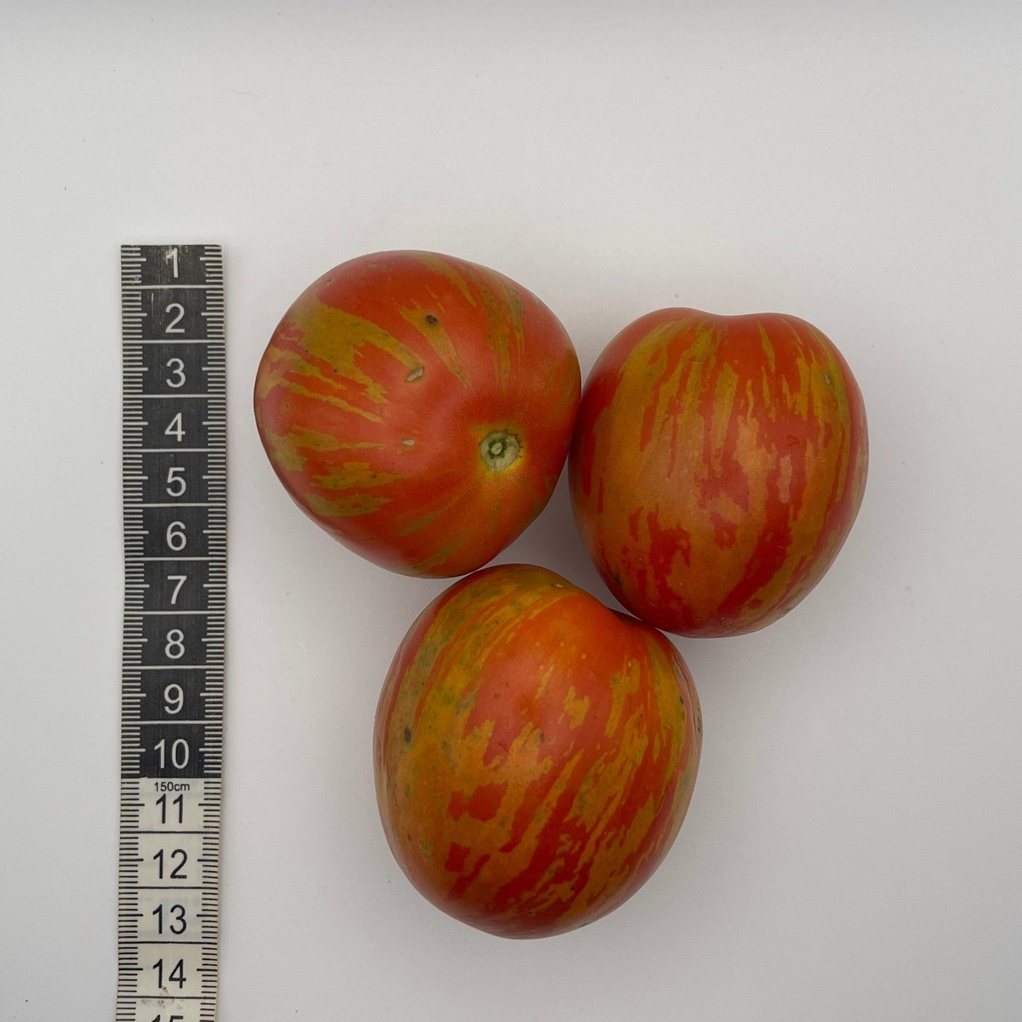 Russian Queen Tomato - Greta's Family Gardens