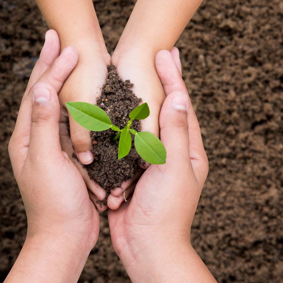 Safe Seed Pledge Holding a plant in hands