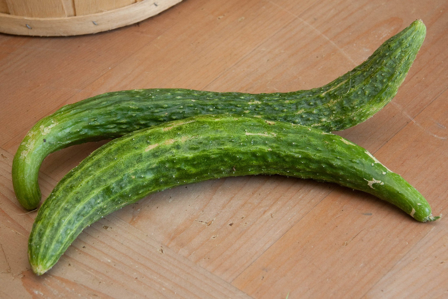 Suyo Long Cucumber - Organic - Greta's Family Gardens