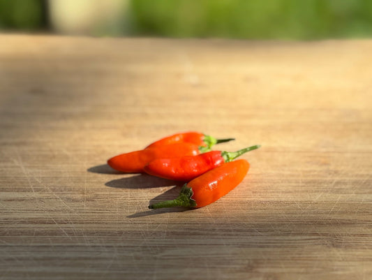 Chilli Peppers