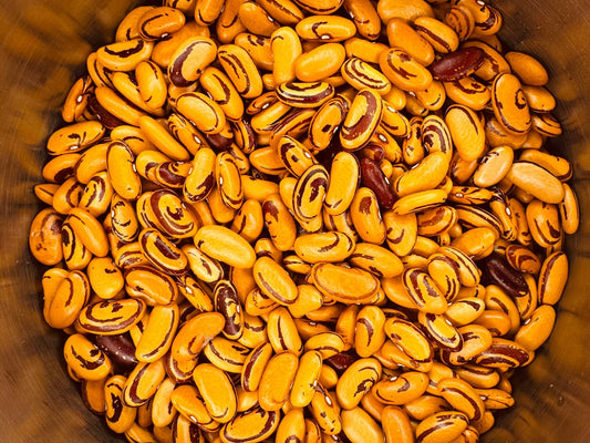 UC Tiger Eye - Greta's Family Gardens