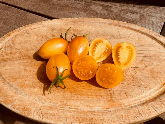 Yellow Icicle tomato - Organic - Greta's Family Gardens
