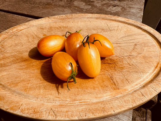 Yellow Icicle tomato - Organic - Greta's Family Gardens