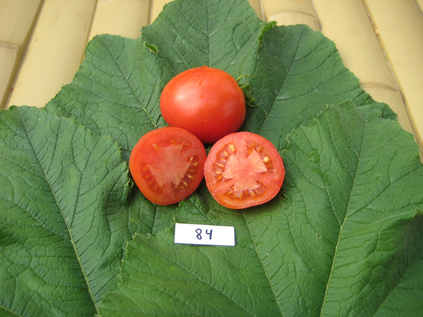 Sub Arctic Tomato