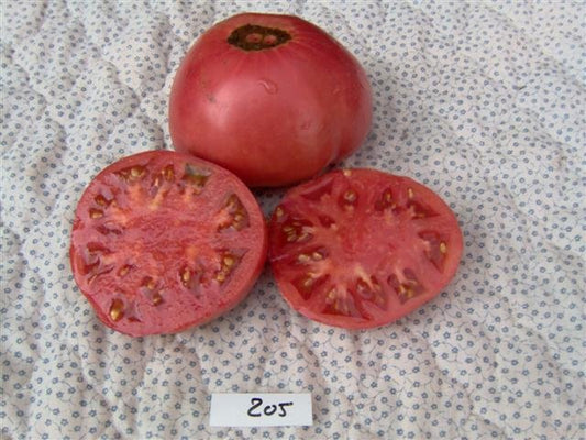 Brandywine Pink Tomato - Organic - Greta's Family Gardens