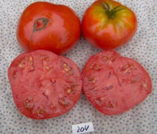 Brandywine Red Tomato - Organic - Greta's Family Gardens