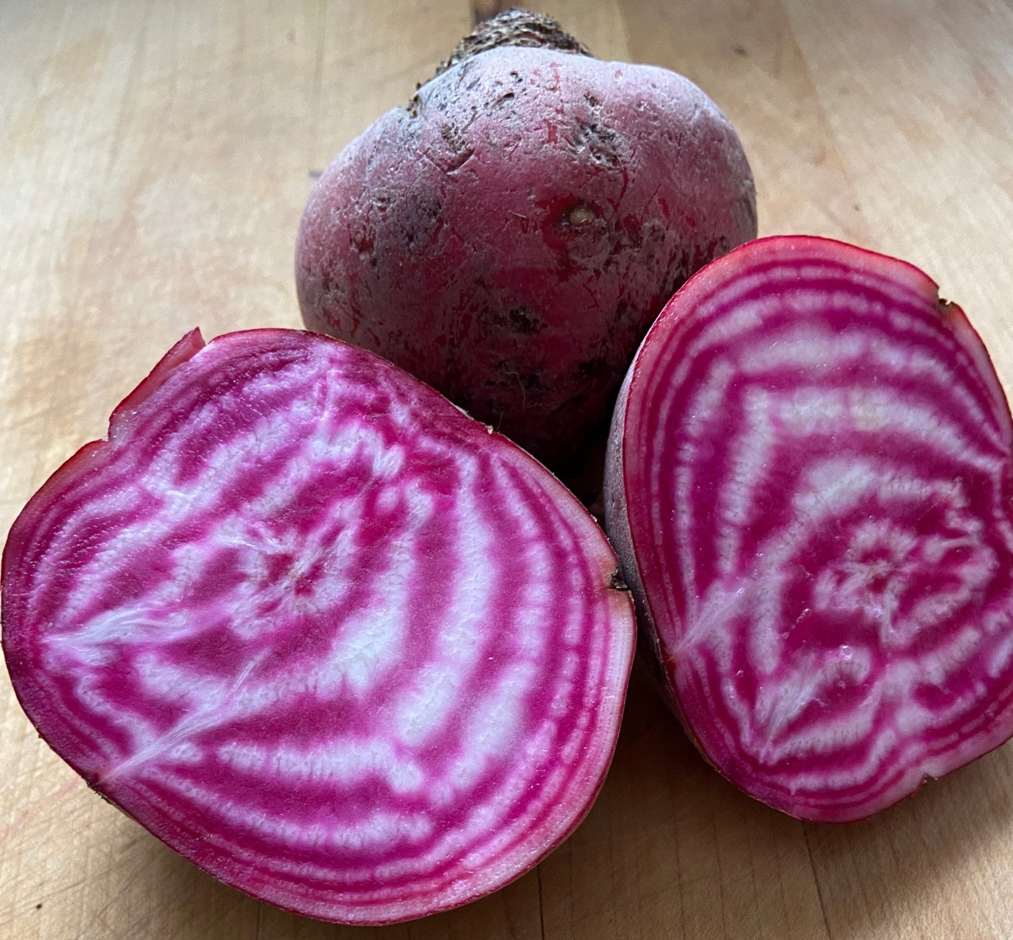 Chioggia Beets Greta s Family Gardens Chioggia Beets Greta s Family Gardens