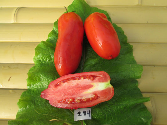Cornu Des Andes Tomato - Organic - Greta's Family Gardens
