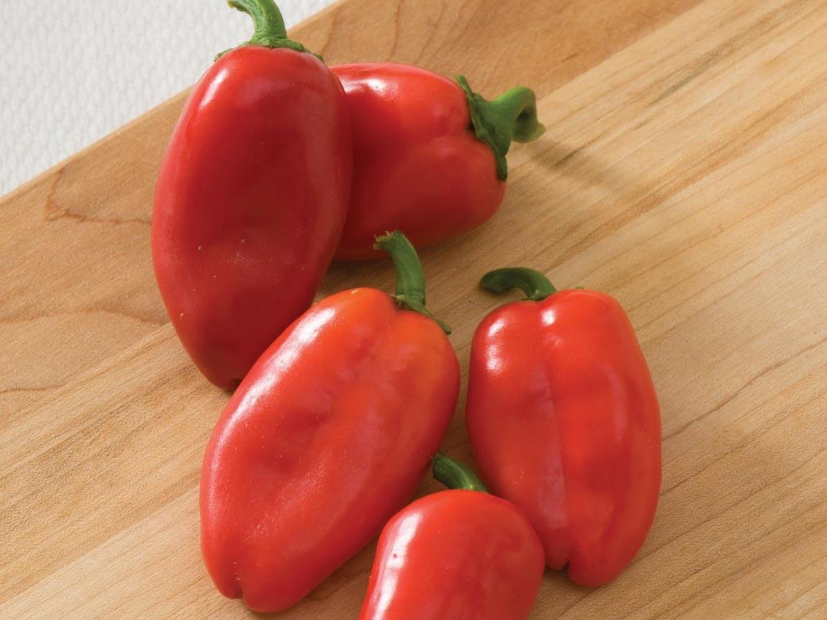 Lunchbox Red - Organic - Greta's Family Gardens