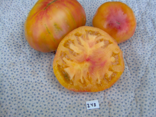 Mary Robinson's German Bicolor Tomato - Organic - Greta's Family Gardens