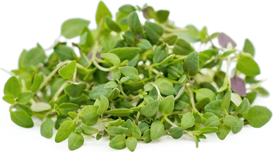 Thyme Microgreens - Organic - Greta's Family Gardens