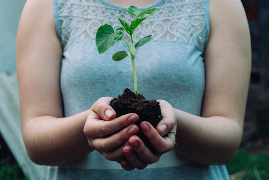 Tips on Seed Starting! - Greta's Family Gardens