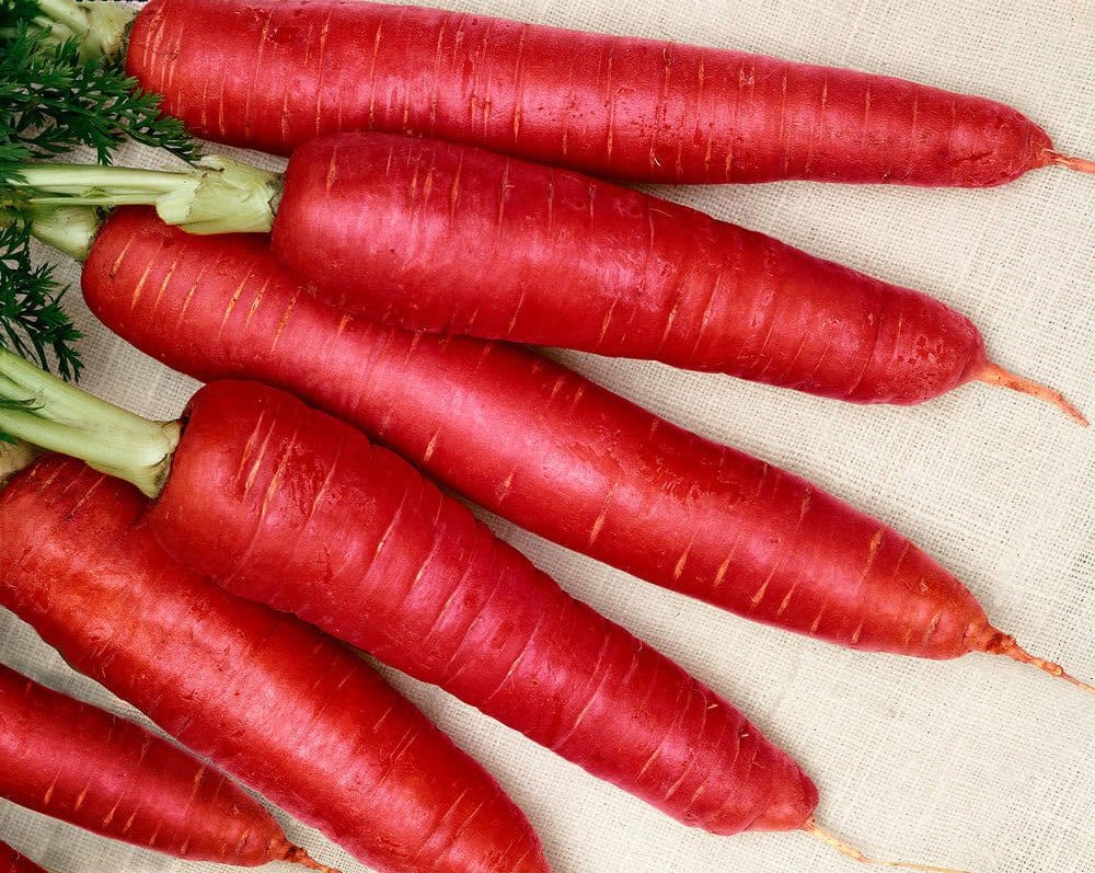 Atomic Red Carrot Seeds - Greta's Family Gardens