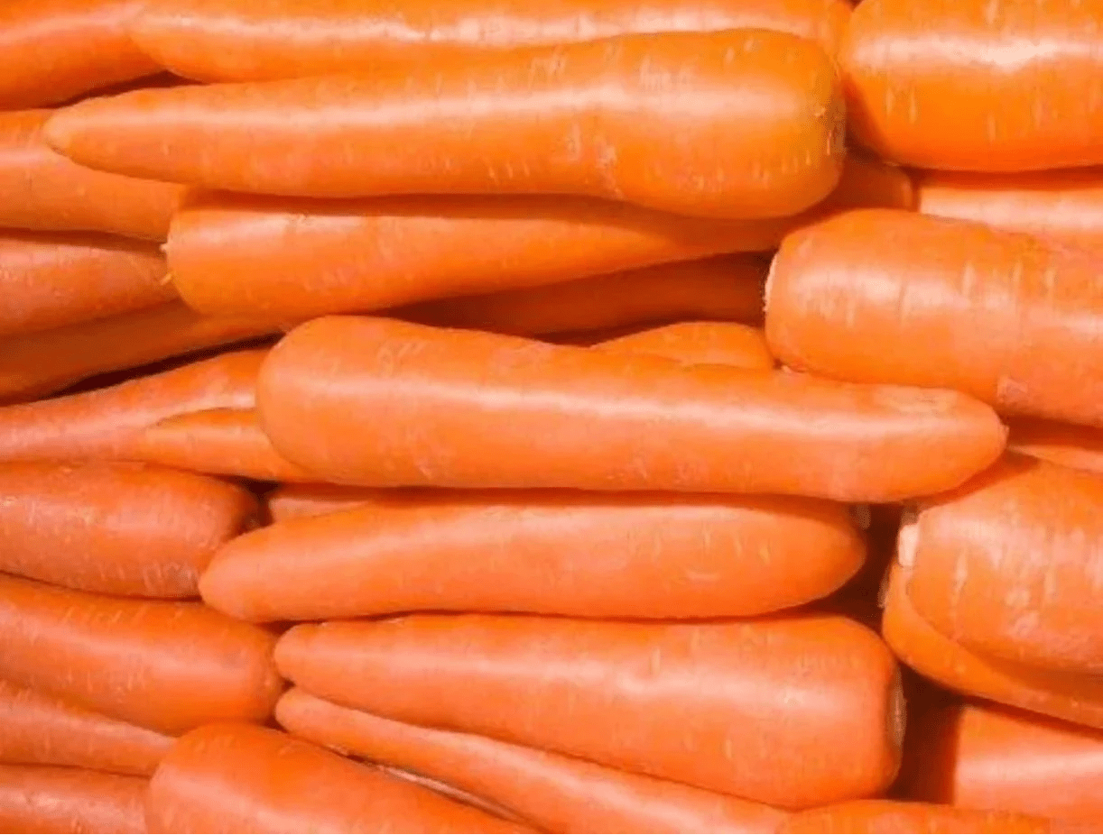 Brilliance Carrot - Greta's Family Gardens