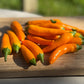 Bulgarian Carrot Hot Pepper - Organic - Greta's Family Gardens