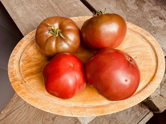 Carbon Tomato - Organic - Greta's Family Gardens
