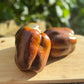 Chocolate Pepper - Greta's Family Gardens