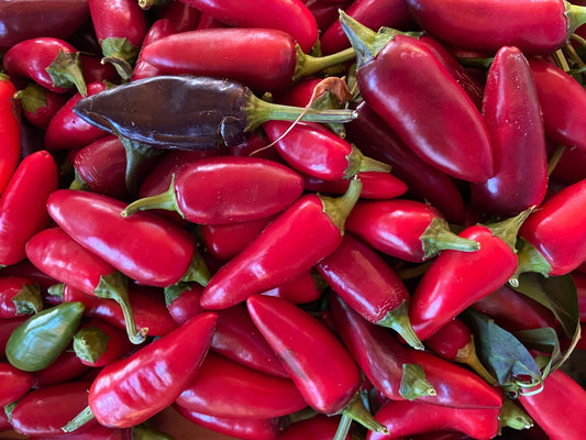 Hot Pepper, Czech Black