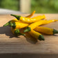 Golden Cayenne Hot Pepper - Organic - Greta's Family Gardens