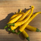 Golden Cayenne Hot Pepper - Organic - Greta's Family Gardens