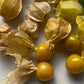 Tomatillos