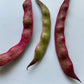 Jimenez Pole beans - Greta's Family Gardens