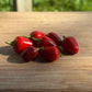 Little Blue Hot Pepper - Organic - Greta's Family Gardens