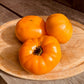 Mennonite Orange Tomato - Organic - Greta's Family Gardens