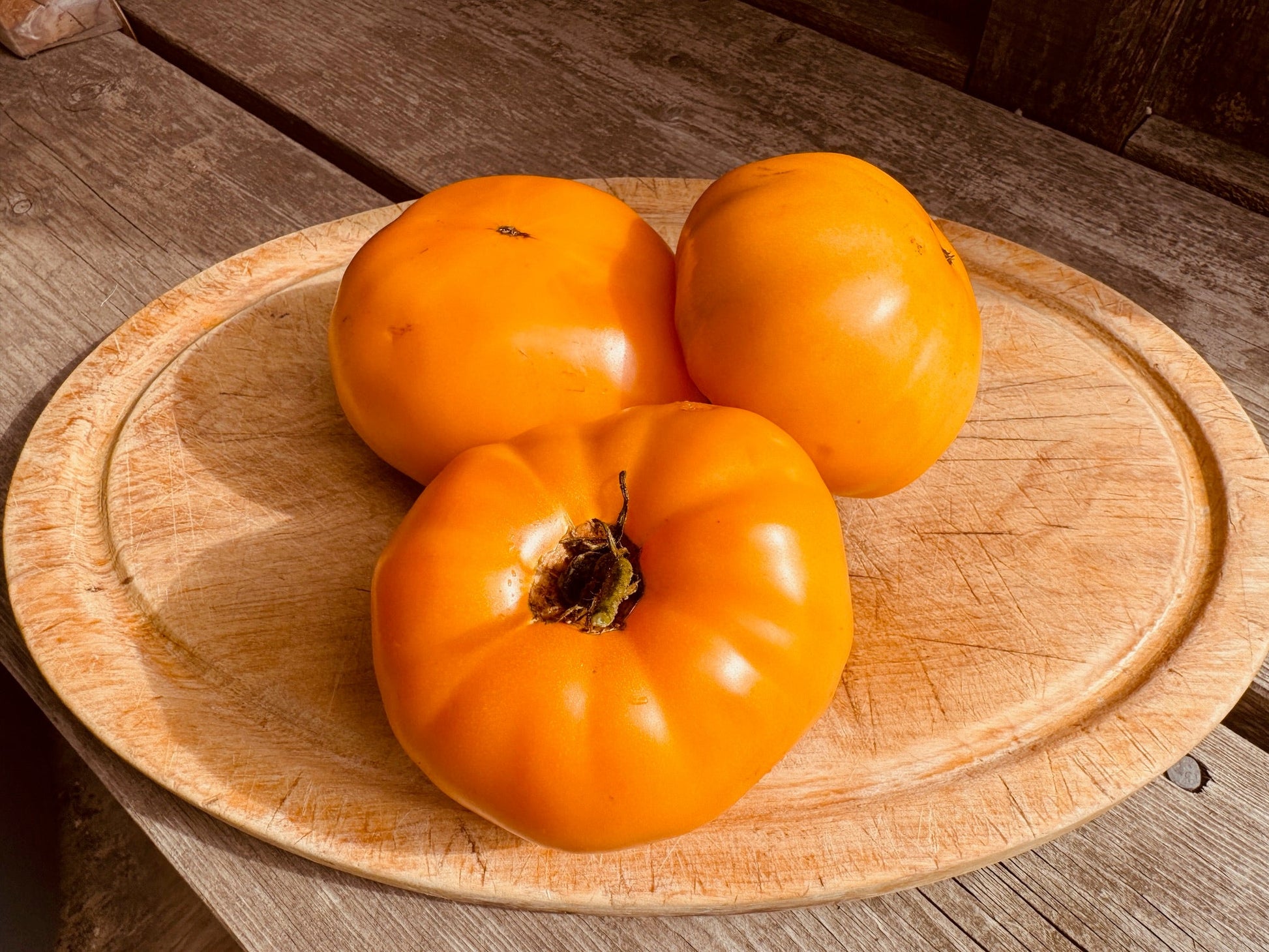 Mennonite Orange Tomato - Organic - Greta's Family Gardens