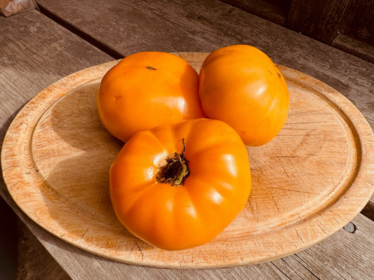 Mennonite Orange Tomato - Organic - Greta's Family Gardens