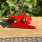 Pepper Anaheim - Organic - Greta's Family Gardens