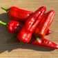 Pepper Anaheim - Organic - Greta's Family Gardens