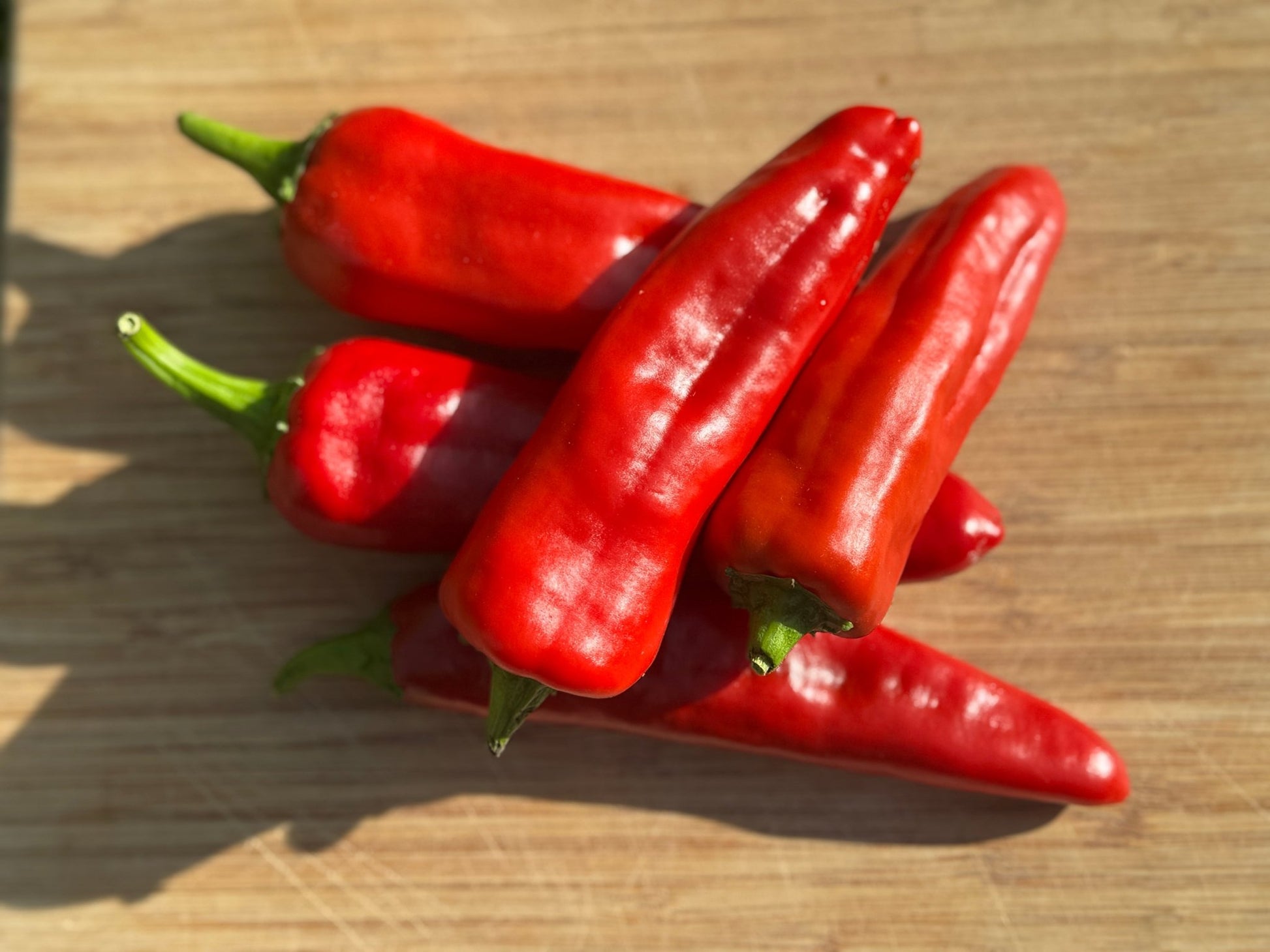 Pepper Anaheim - Organic - Greta's Family Gardens