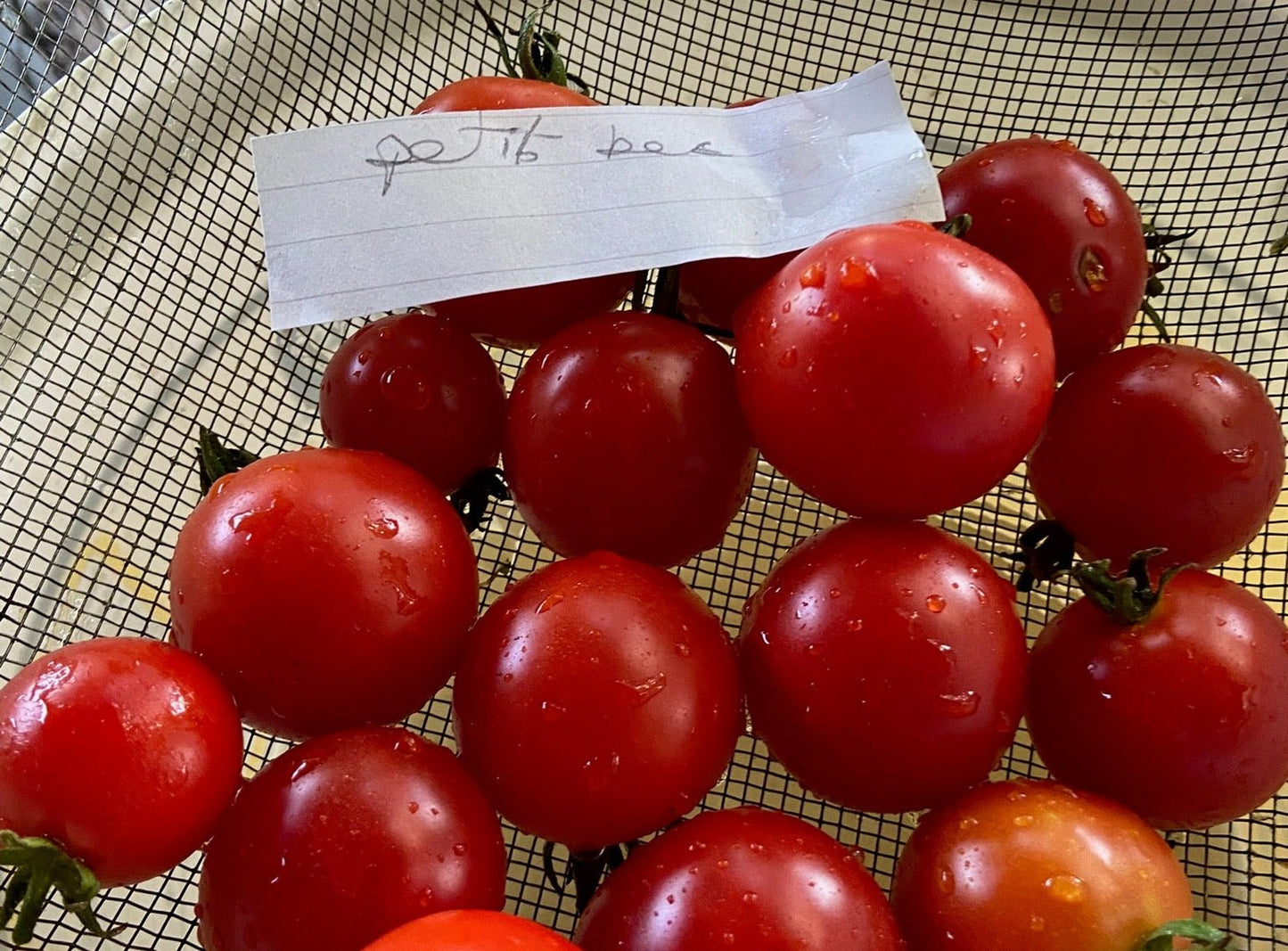 Bowl of red tomatoes with a piece of paper on a mesh surface