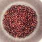 Provider Beans - Organic - Greta's Family Gardens