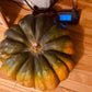 Pumpkin Moscade de Provence - Greta's Family Gardens