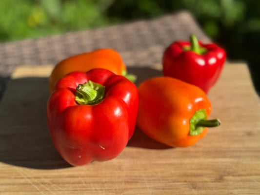 Soroksari Pepper - Greta's Family Gardens