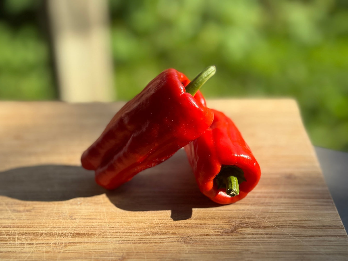 Stavros Pepper - Organic - Greta's Family Gardens