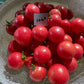 Sub Arctic Cherry Tomato - Greta's Family Gardens