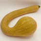Yellow squash on a white background